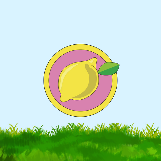 Brr, It's Cold: Avva Lemon's Lemon-Themed Recipes for Kids